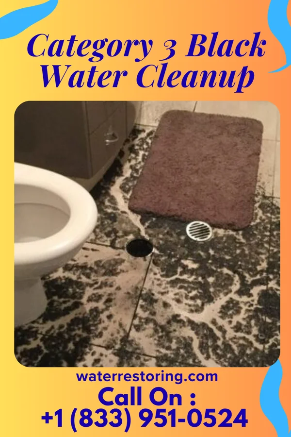 Category 3 Black Water Cleanup in Waterloo, IN