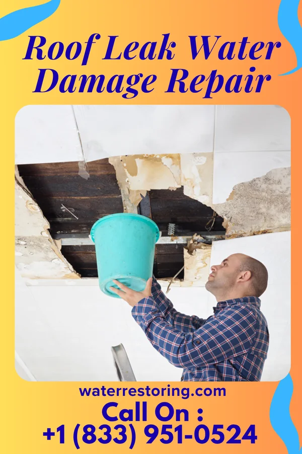 Roof Leak Water Damage Repair in Waterloo, IN