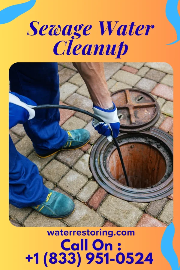 Sewage Water Cleanup in Waterloo, IN