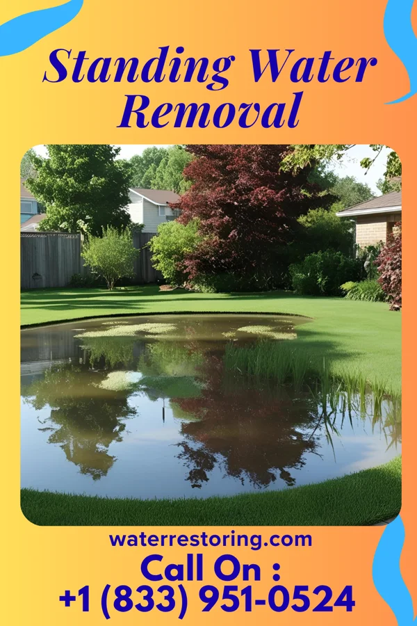 Standing Water Removal in Waterloo, IN